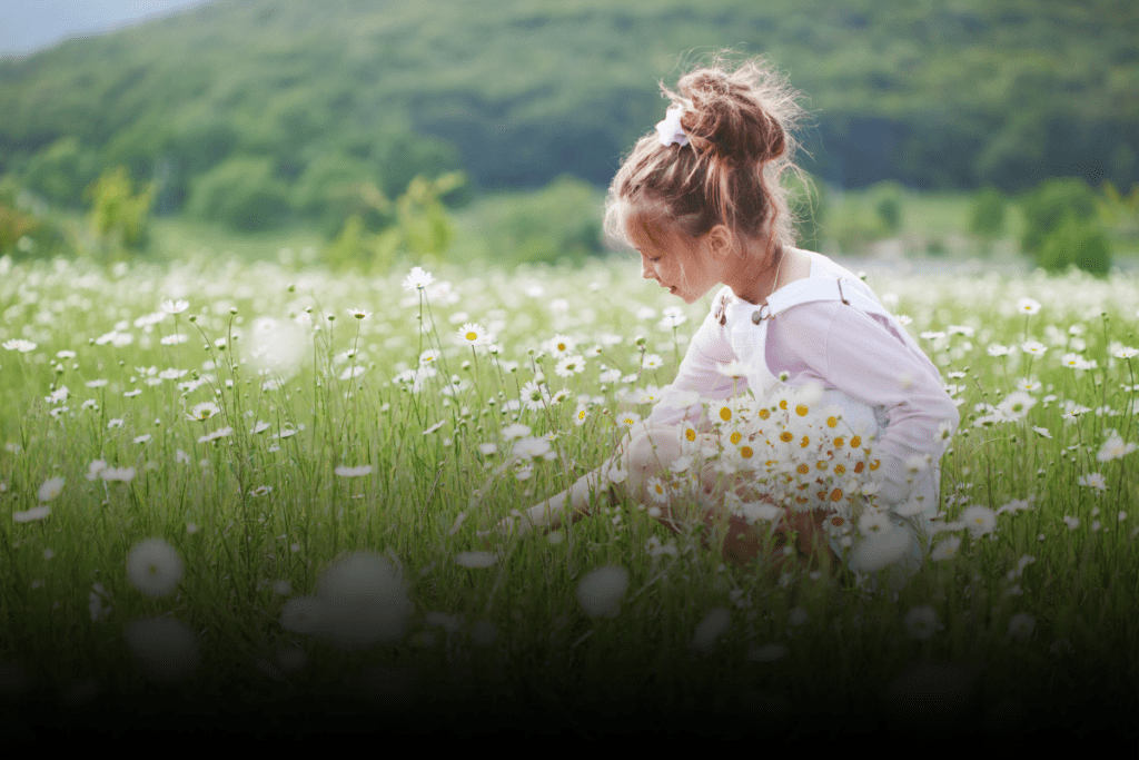 Child Custody decition in NC