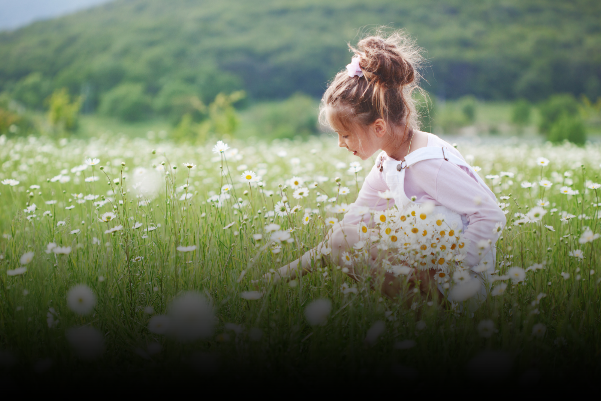 How Is Child Custody Decided in NC?
