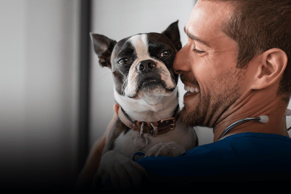 pet custody NC divorce