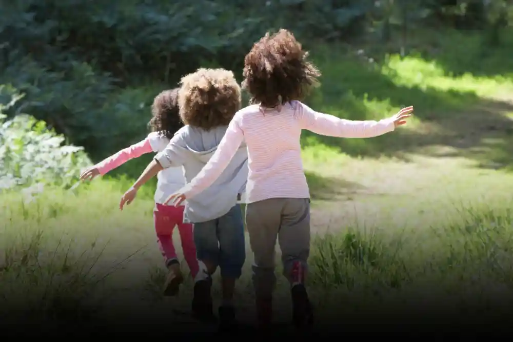 best-interest-factor-nc-child-custody