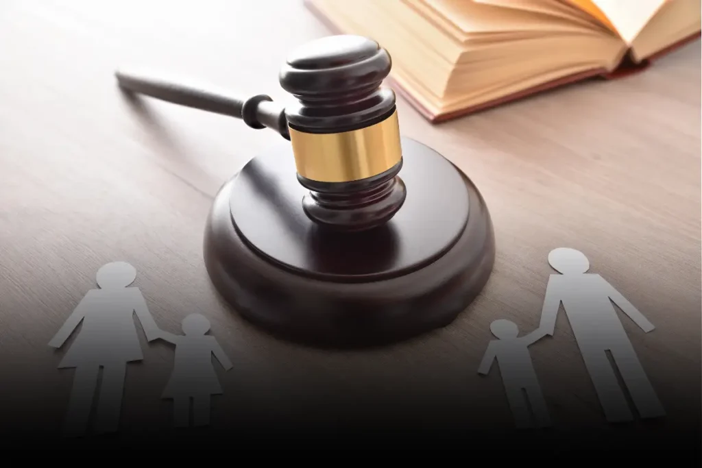 child custody lawyer
