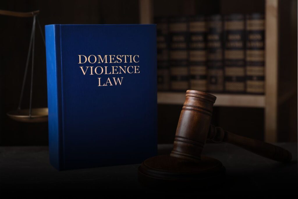 domestic violence defense