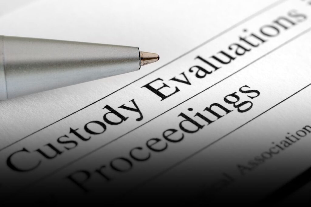 custody evaluation NC
