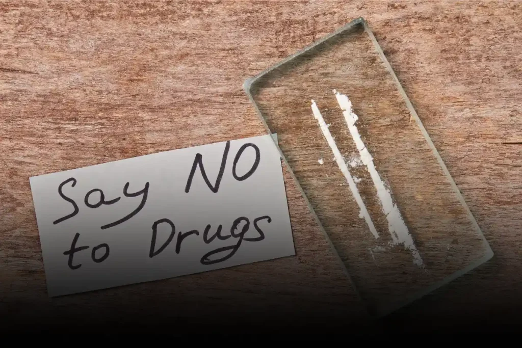 first-time-drug-offenders-nc-