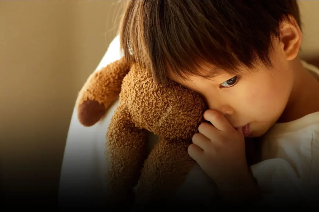 North Carolina custody agreement