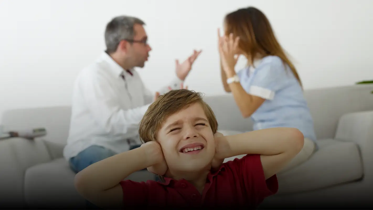 domestic violence protective order